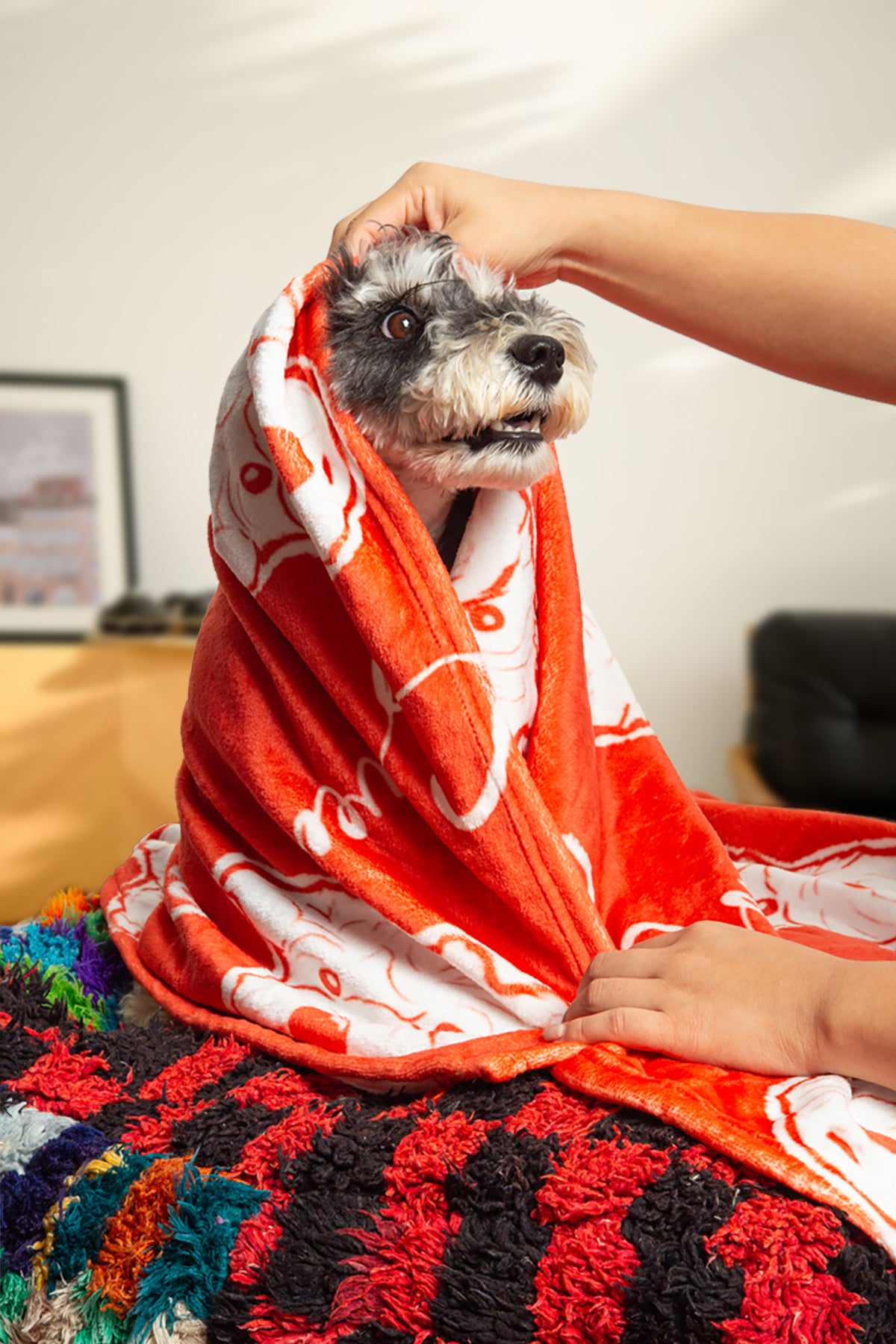 Dog wrapped in an orange towel with a person holding it, sitting on a colorful rug.