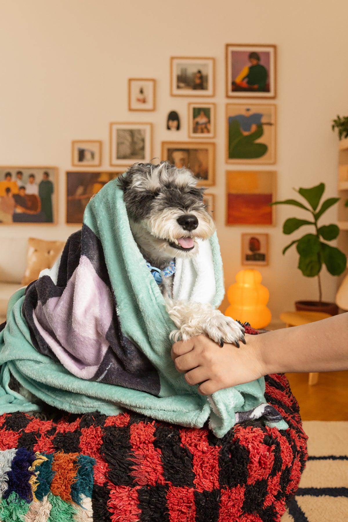 Custom Pet Graphic Blanket | Personalized Dog or Cat Portrait on Plush or Sherpa Fleece