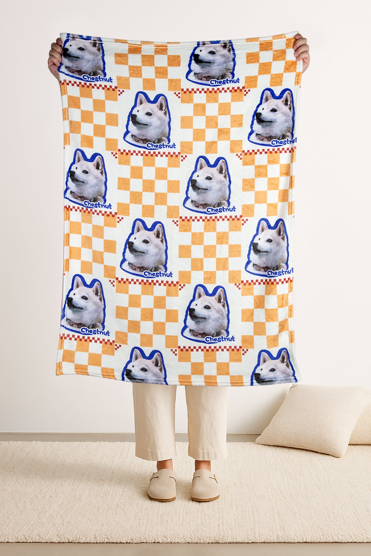Person holding a checkered blanket with a dog pattern in a room.