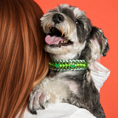 Bespeak Paracord Braided Custom-Fit Pet Collar