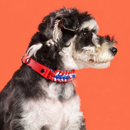 Bespeak Paracord Braided Custom-Fit Pet Collar
