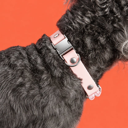 Bespeak Paracord Braided Custom-Fit Pet Collar