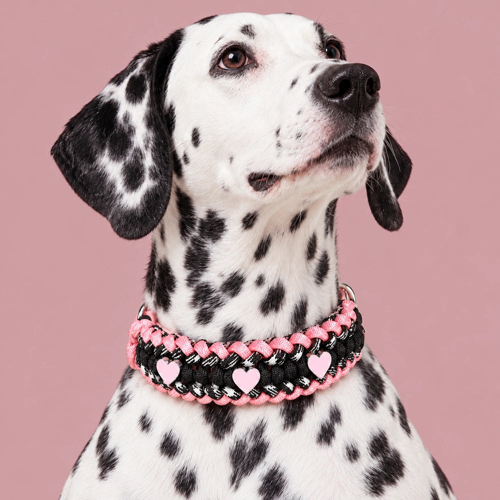 Bespeak Paracord Braided Custom-Fit Pet Collar