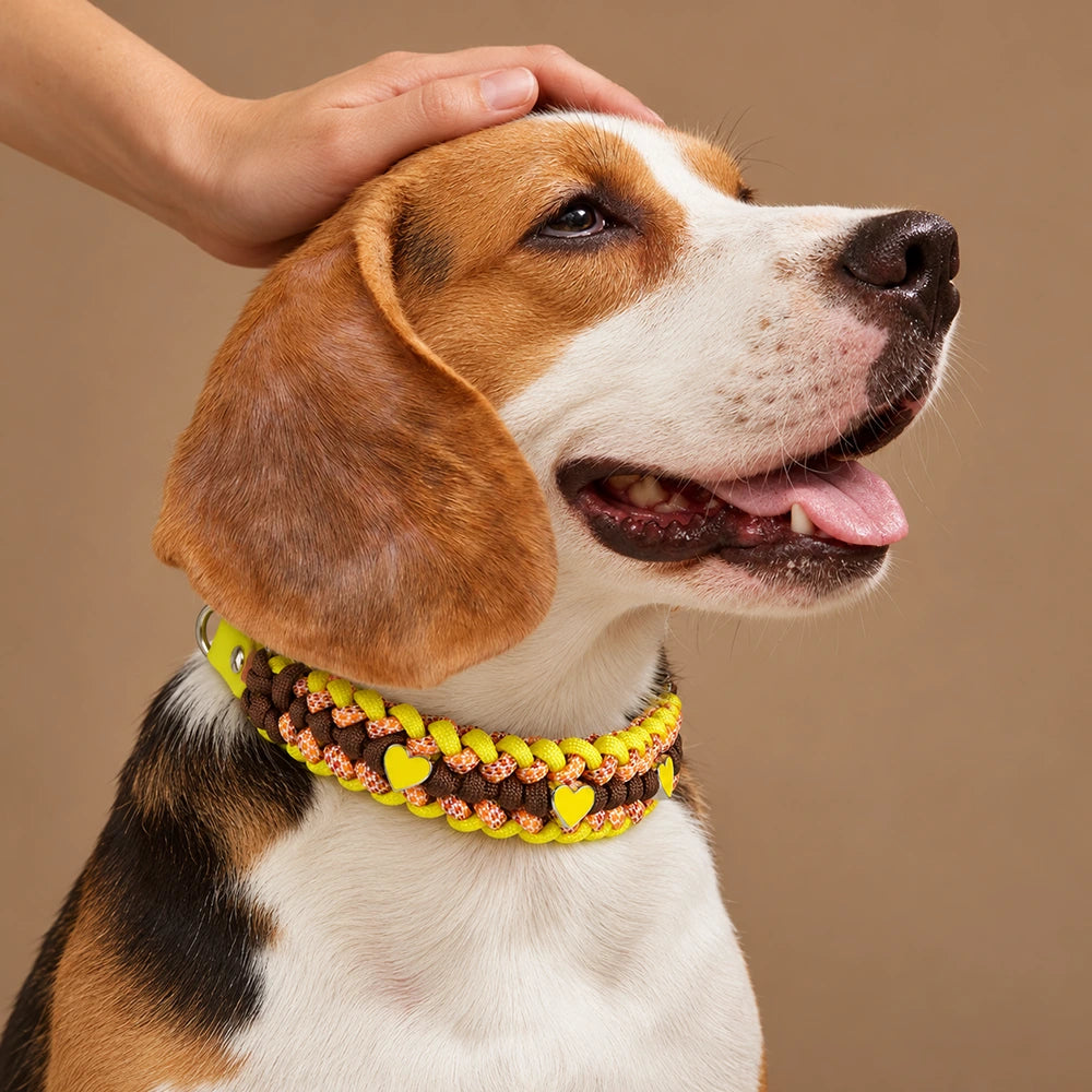 Bespeak Paracord Braided Custom-Fit Pet Collar