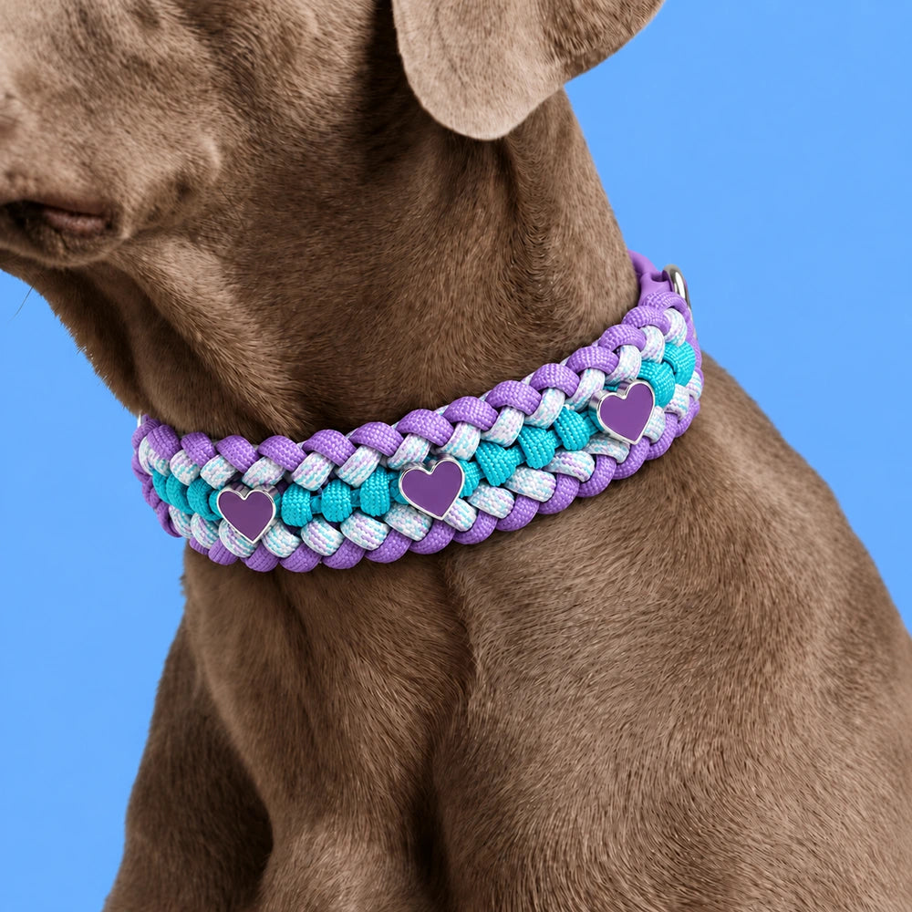 Bespeak Paracord Braided Custom-Fit Pet Collar