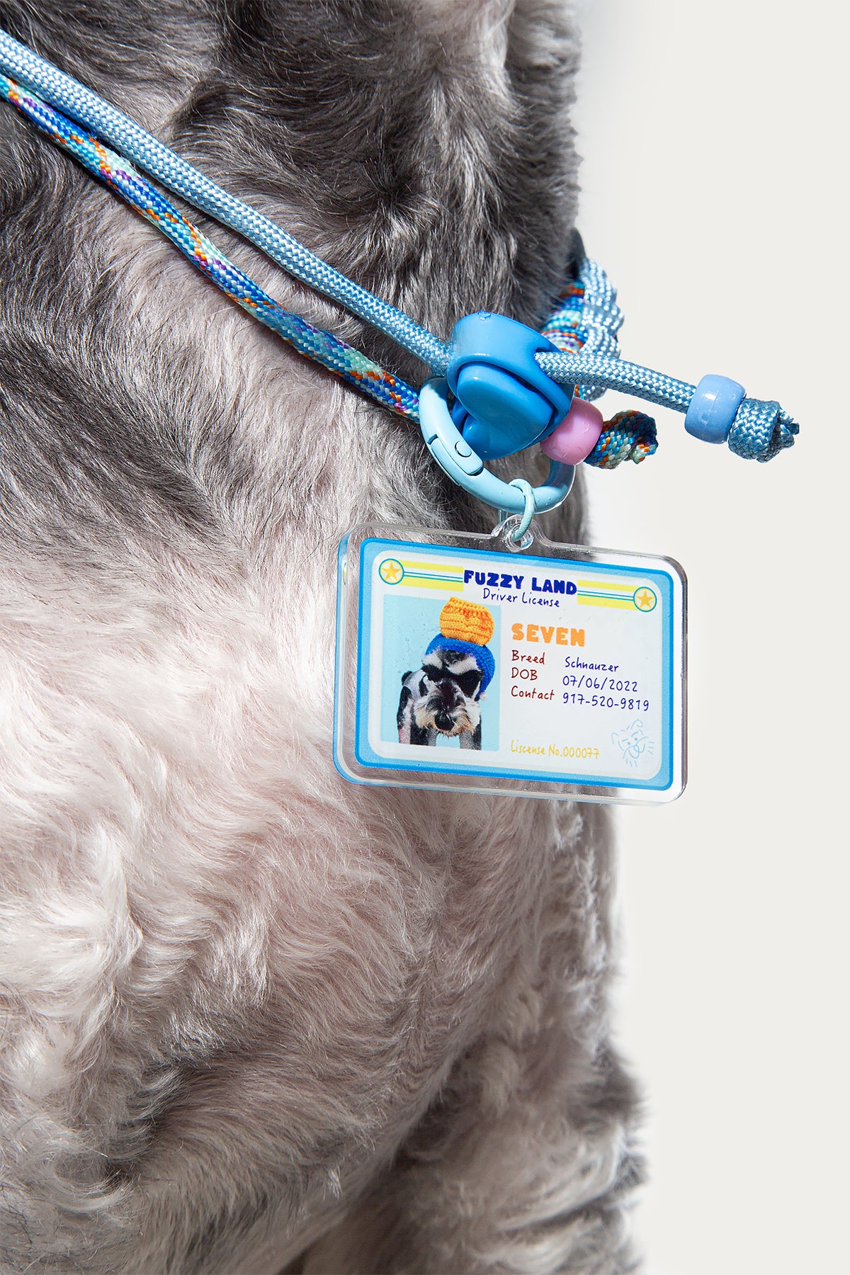 Dog wearing a blue pet ID tag with a photo of a dog on a white background