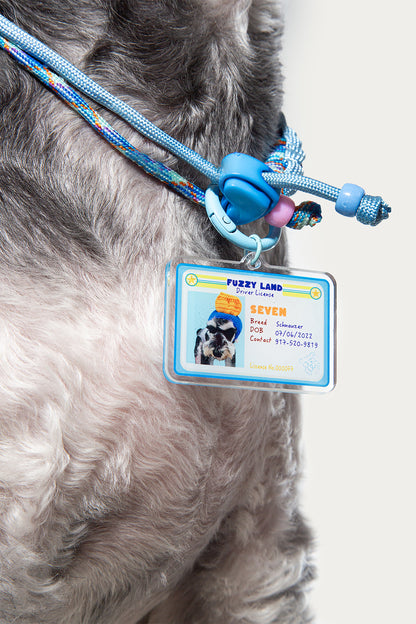 Dog wearing a blue pet ID tag with a photo of a dog on a white background