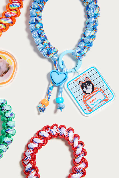 Colorful braided dog toys with tags on a light background