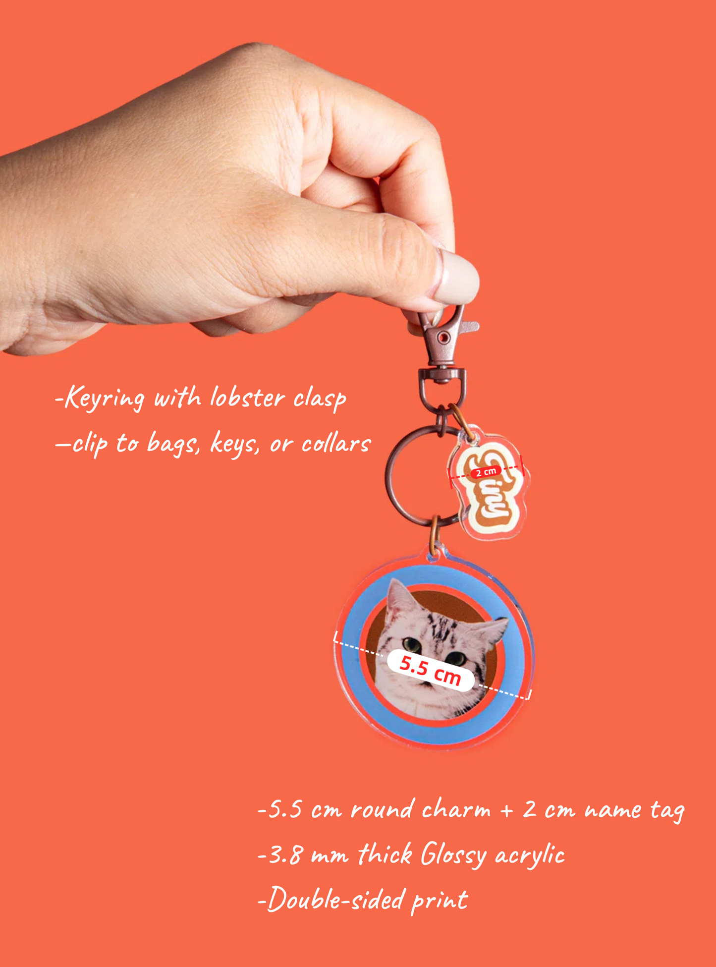 Custom Round Pet Photo Keychain | Personalized Acrylic Dog or Cat Name Keyring | 7 Colors, Pattern & Solid Styles Available
