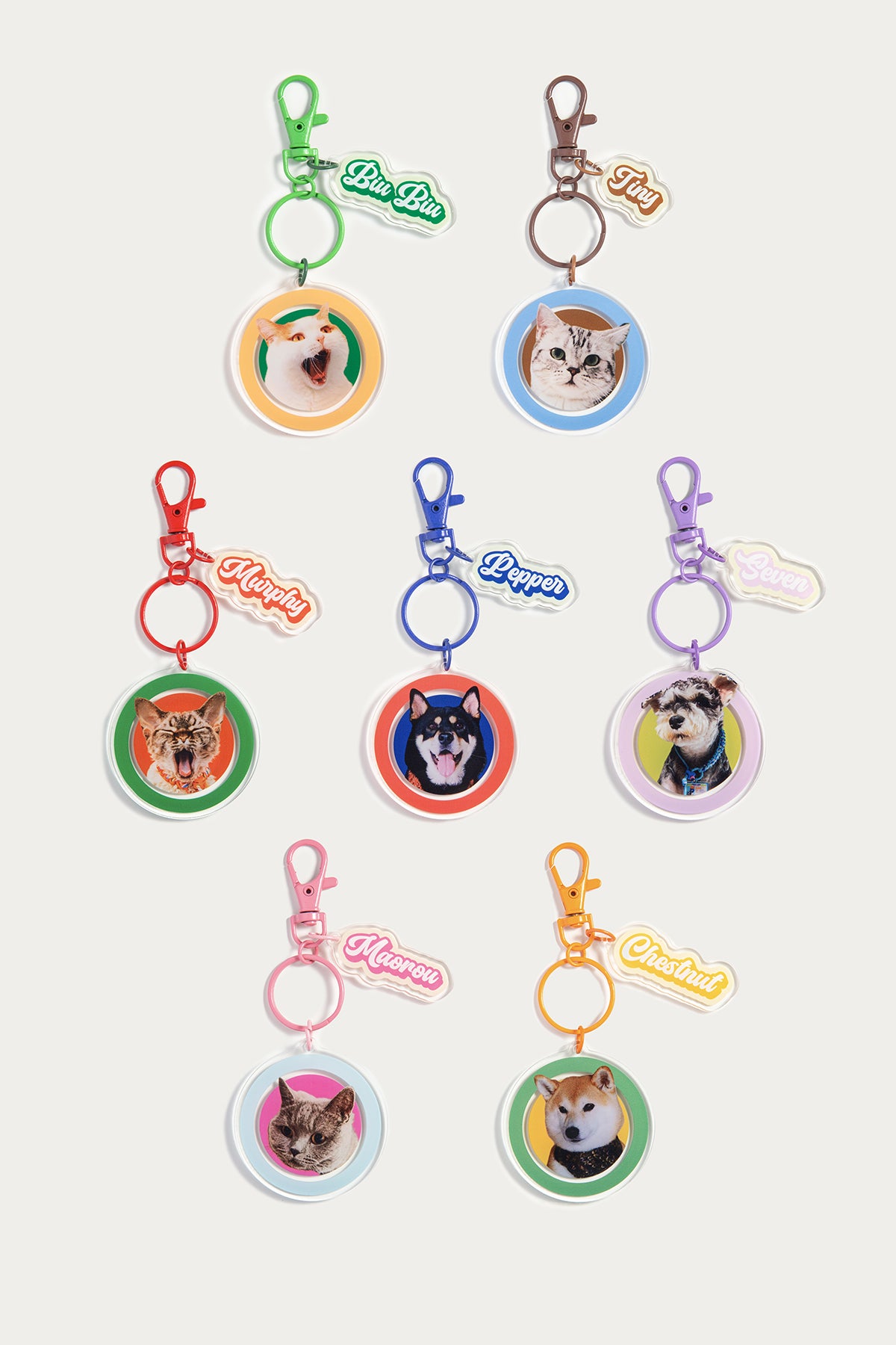 Custom Round Pet Photo Keychain | Personalized Acrylic Dog or Cat Name Keyring | 7 Colors, Pattern & Solid Styles Available