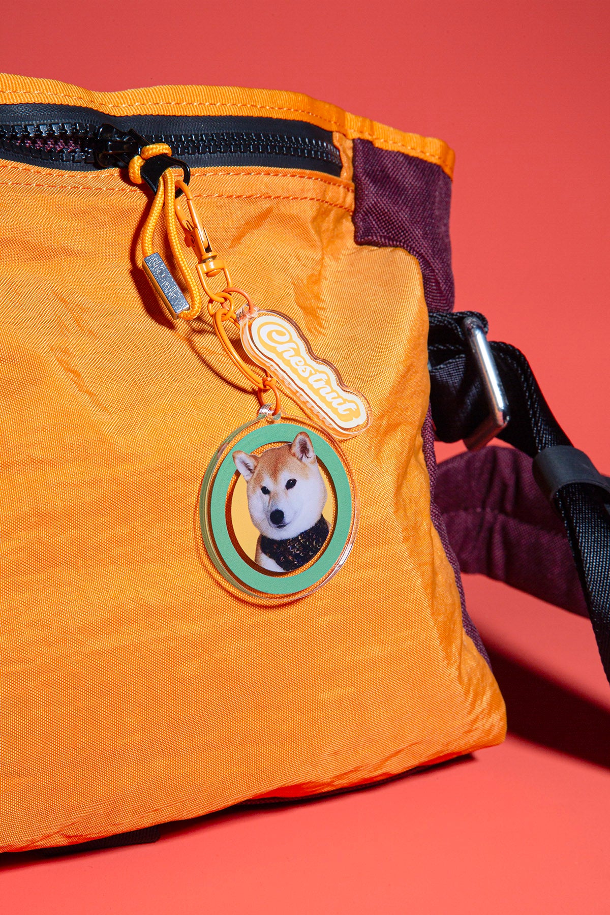 Custom Round Pet Photo Keychain | Personalized Acrylic Dog or Cat Name Keyring | 7 Colors, Pattern & Solid Styles Available