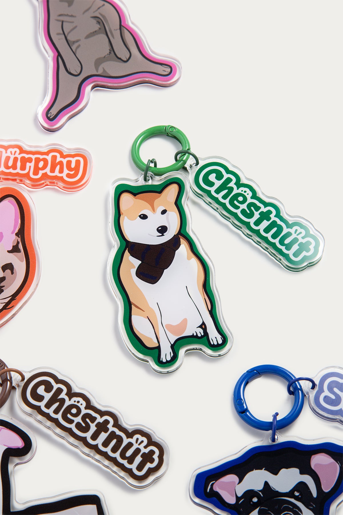 Collection of dog-themed keychains and stickers on a white background