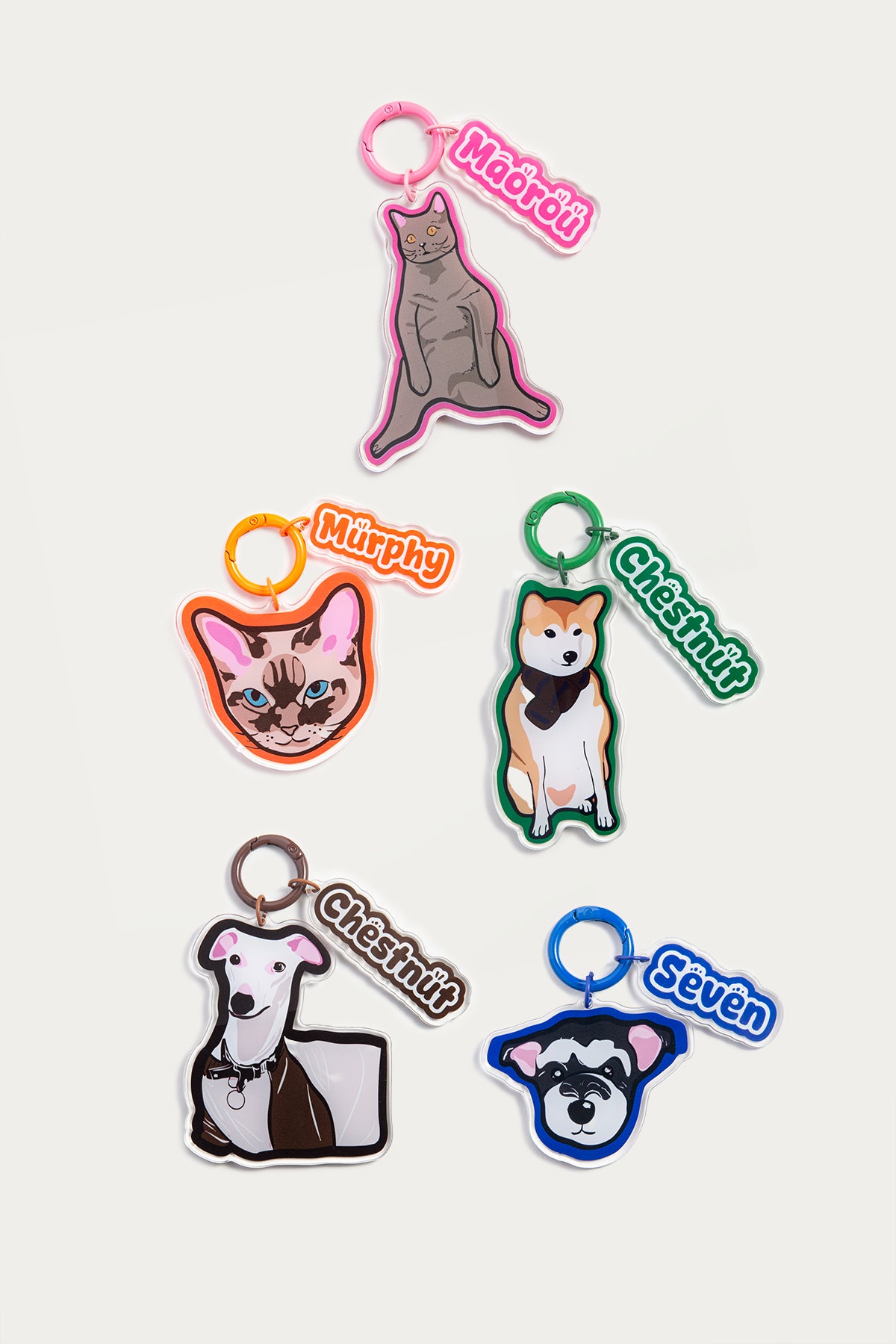 Set of pet keychains with different breeds on a white background