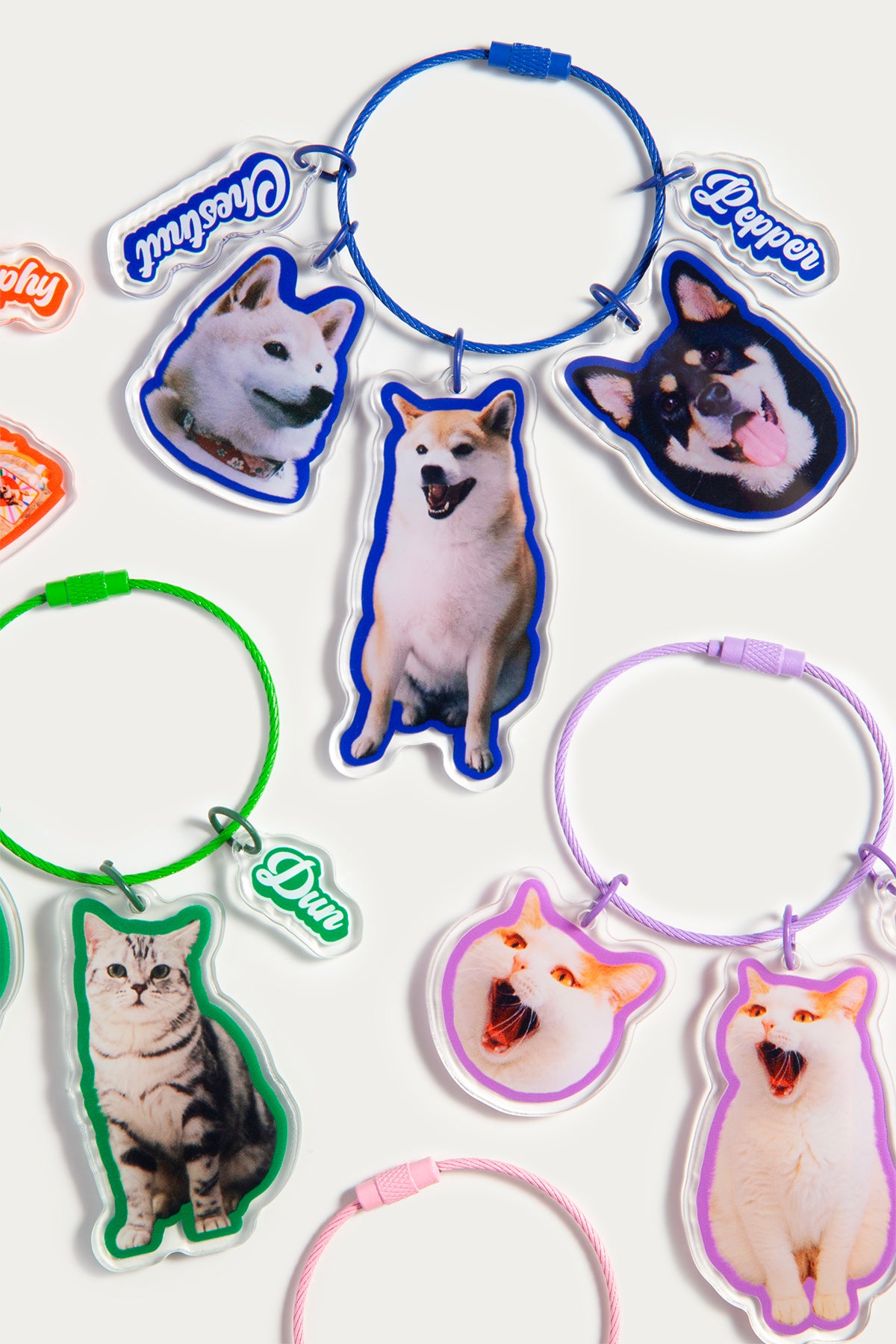 Custom Multi-Charm Pet Keychain | Personalized Acrylic Tags with Name | Add-On Artwork Service