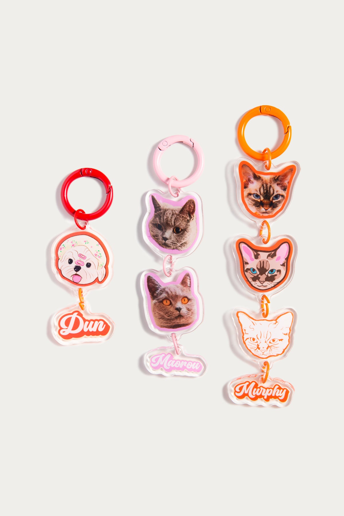 Set of four cat-themed keychains with colorful rings on a white background