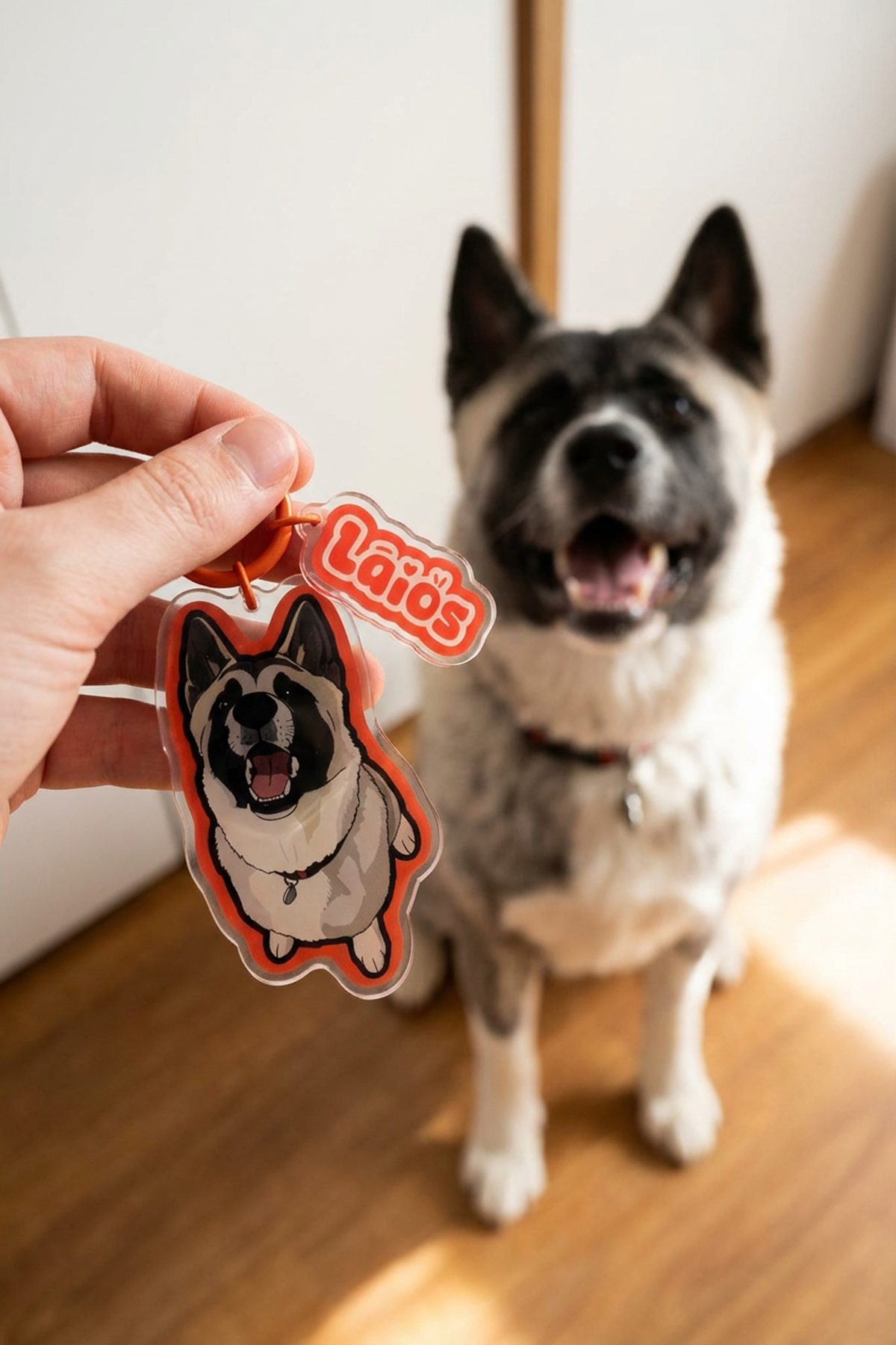 Dog with a sticker of another dog held by a hand on a wooden floor.