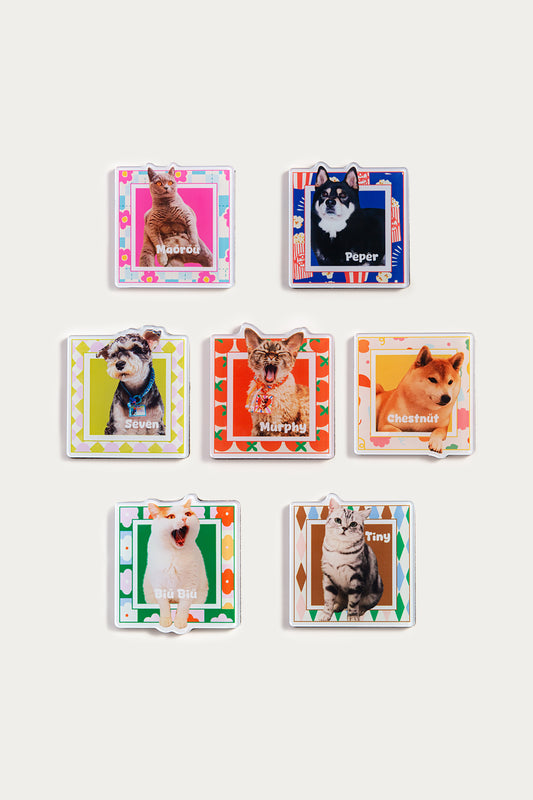 Custom Pet Fridge Magnet | Personalized Square Acrylic Pet Photo Magnet | Cute Gift for Cat or Dog Lovers