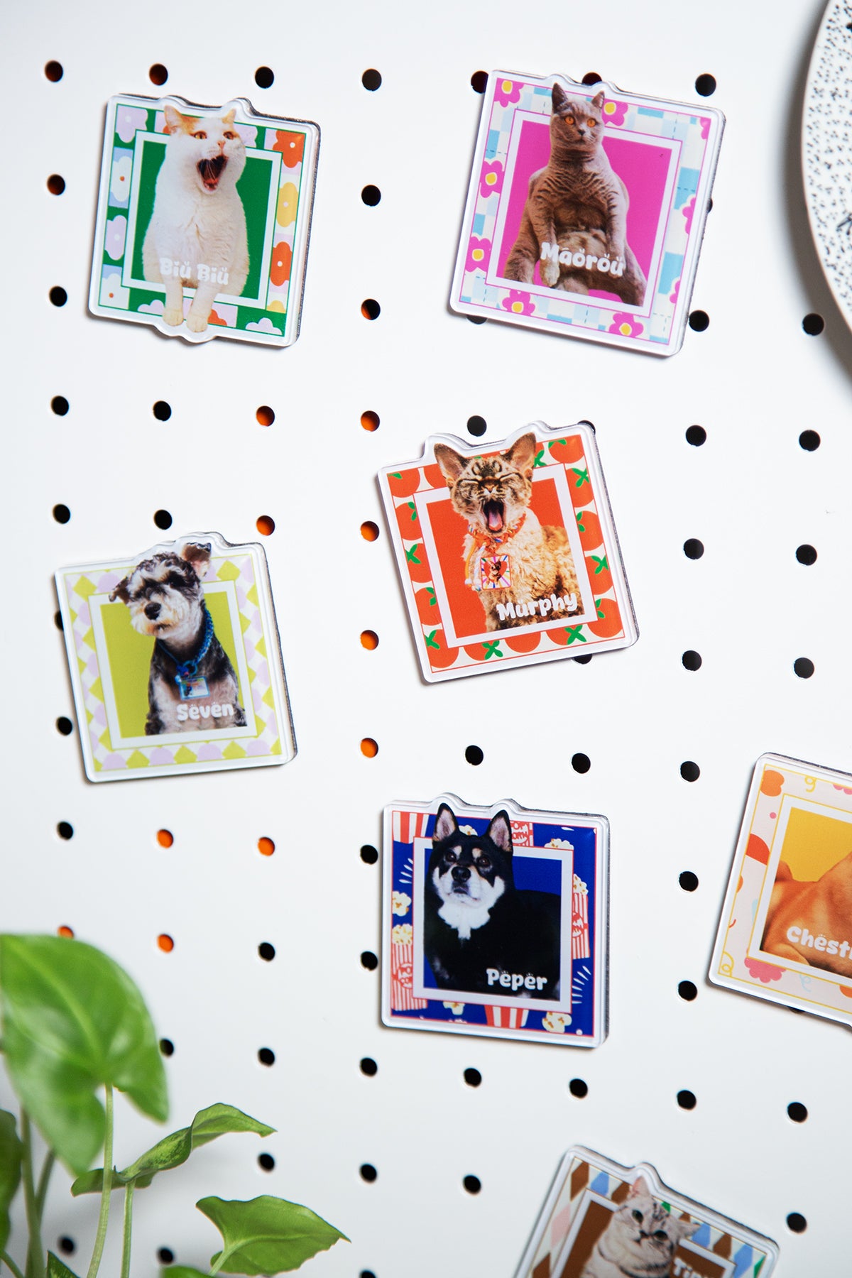 Set of pet photo cards on a polka dot background
