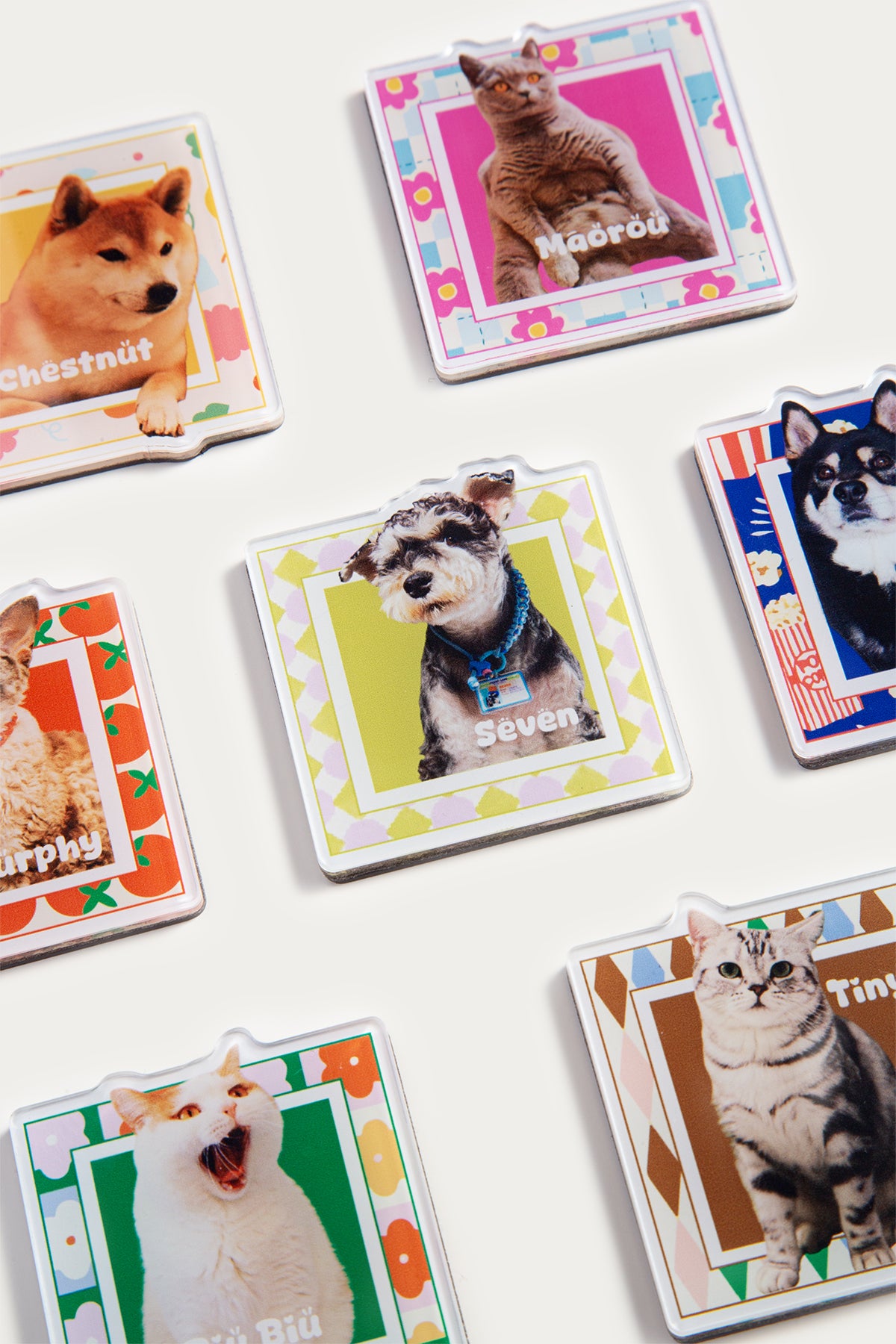 Custom Pet Fridge Magnet | Personalized Square Acrylic Pet Photo Magnet | Cute Gift for Cat or Dog Lovers