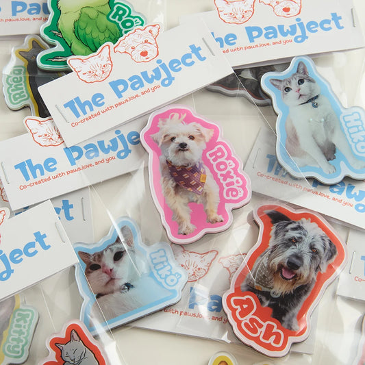 Custom Pet Shape Acrylic Fridge Magnet