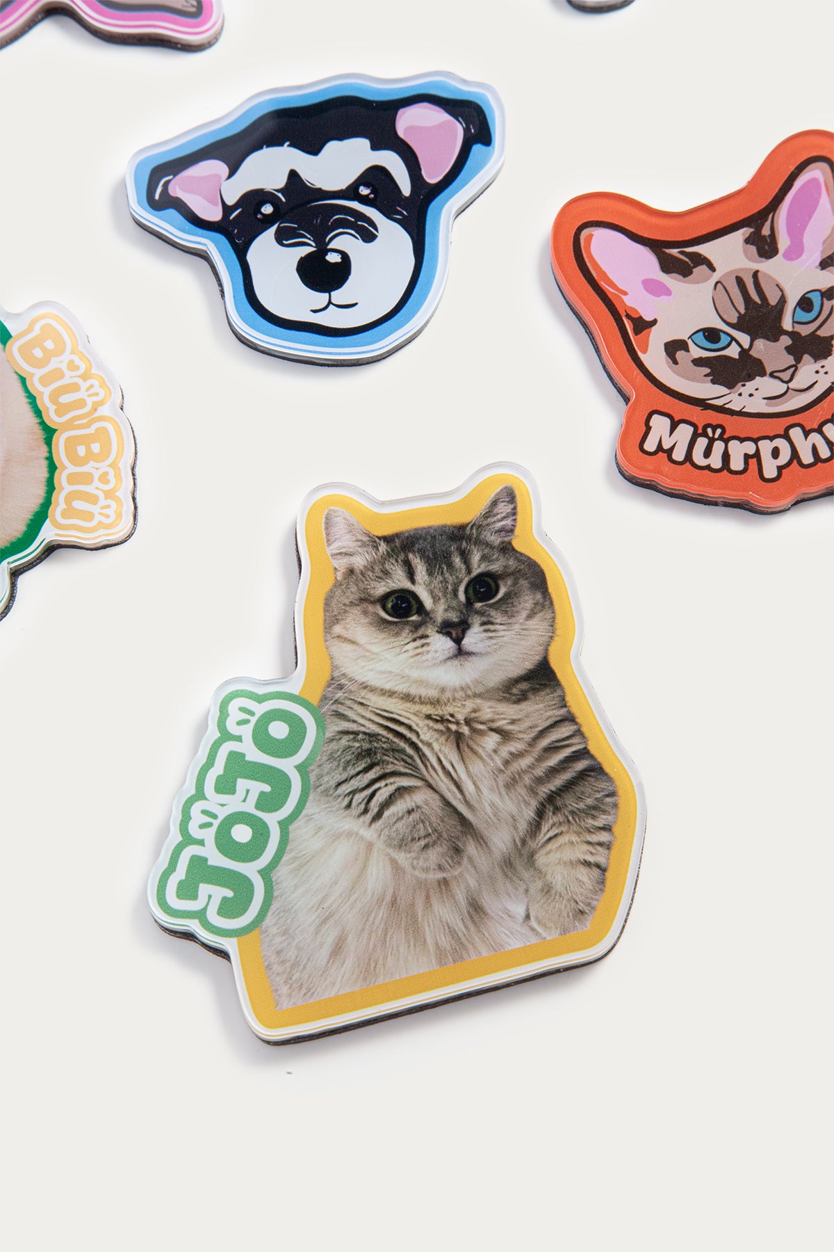 Set of colorful pet-themed stickers on a white background