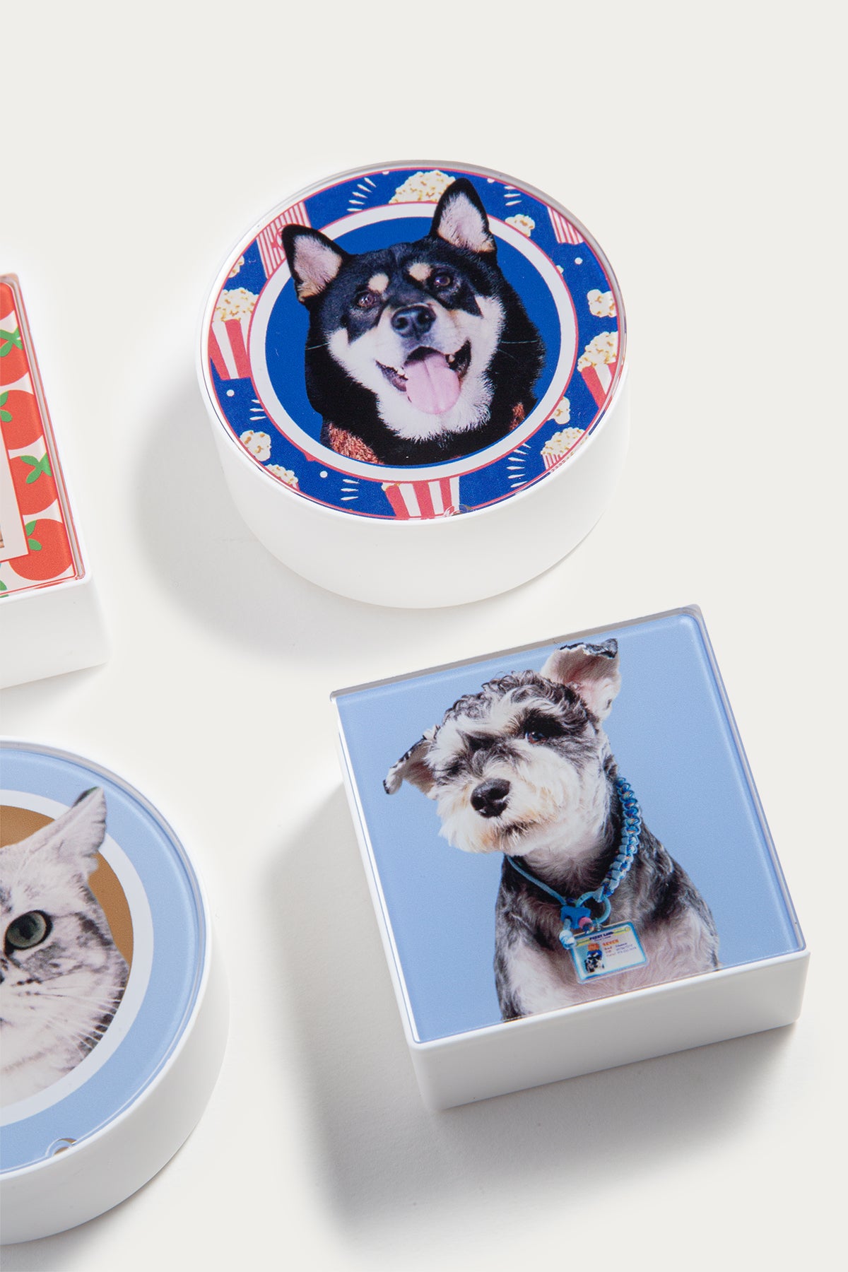 Set of dog-themed coasters with images of dogs on a white background