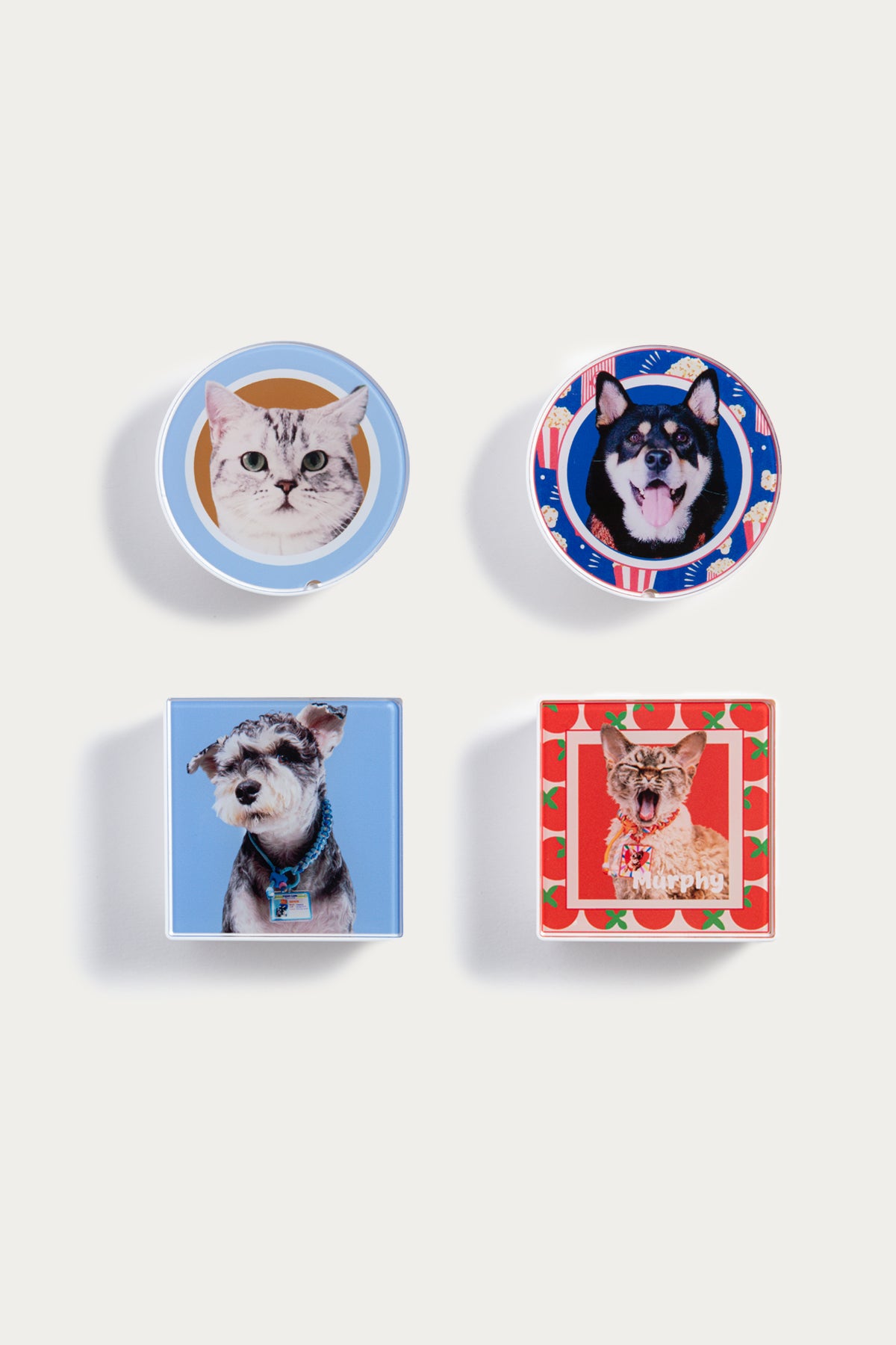 Four small boxes with images of cats and dogs on a white background