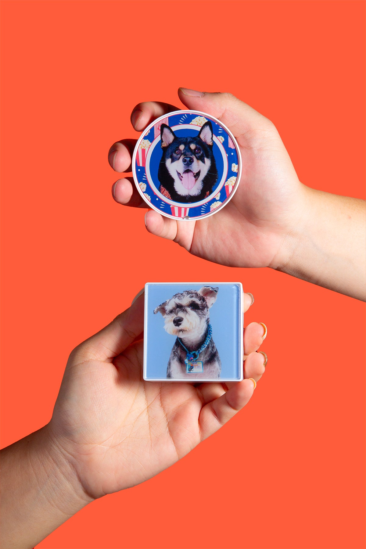 Two hands holding dog-themed coasters against an orange background