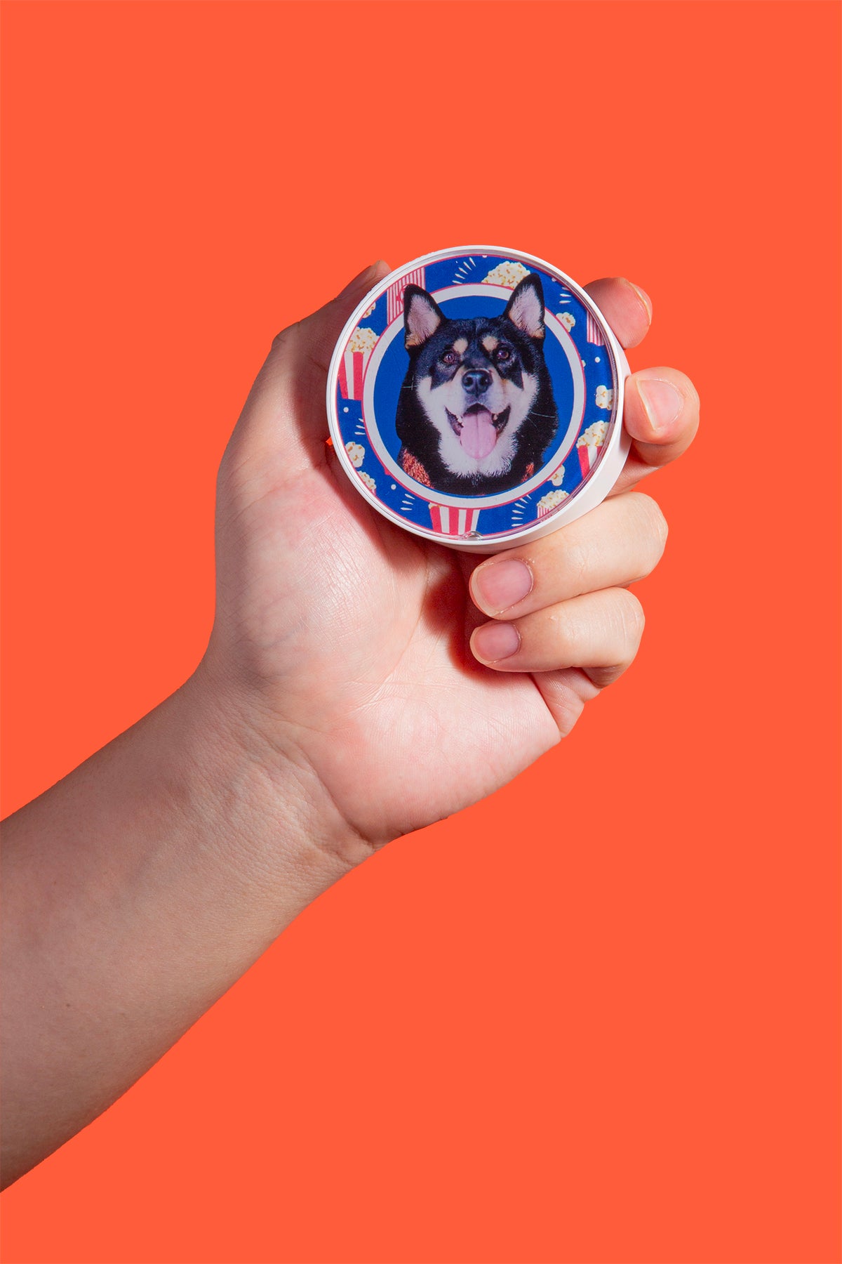 Hand holding a round object with a dog's face on an orange background