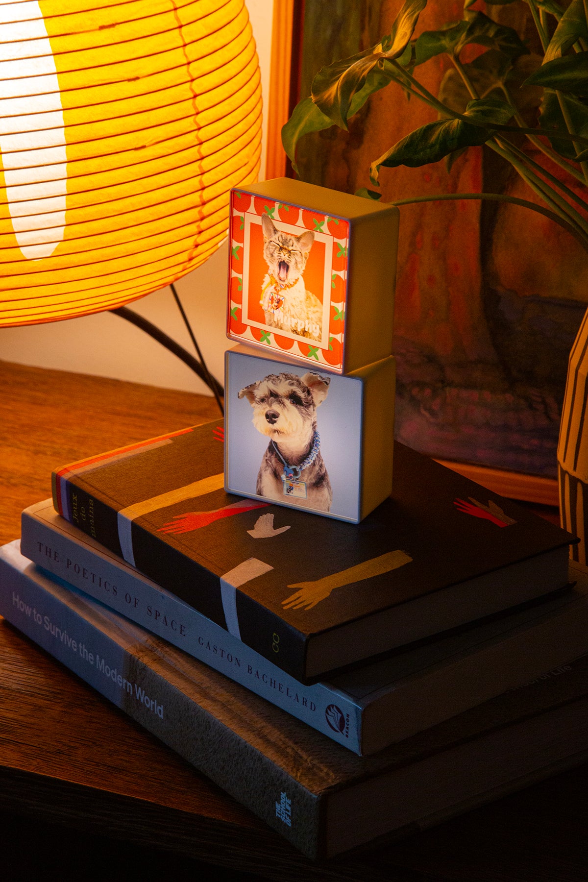 Stack of books with decorative boxes featuring dog illustrations on a wooden surface.