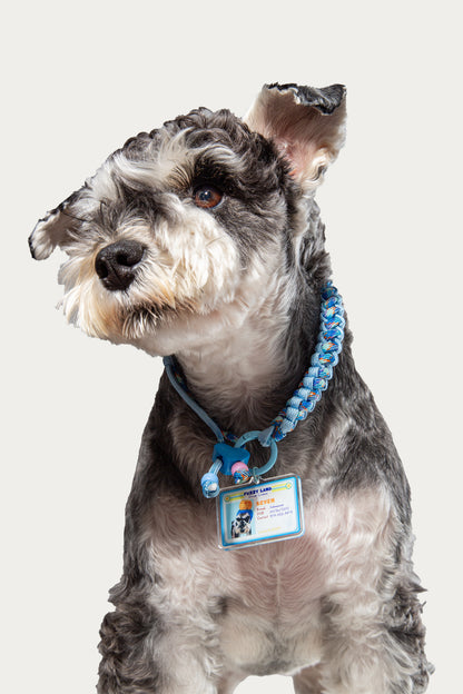 Custom Pet Necklace | Personalized Pet Collar Charm | Unique Gift for Dog & Cat Lovers