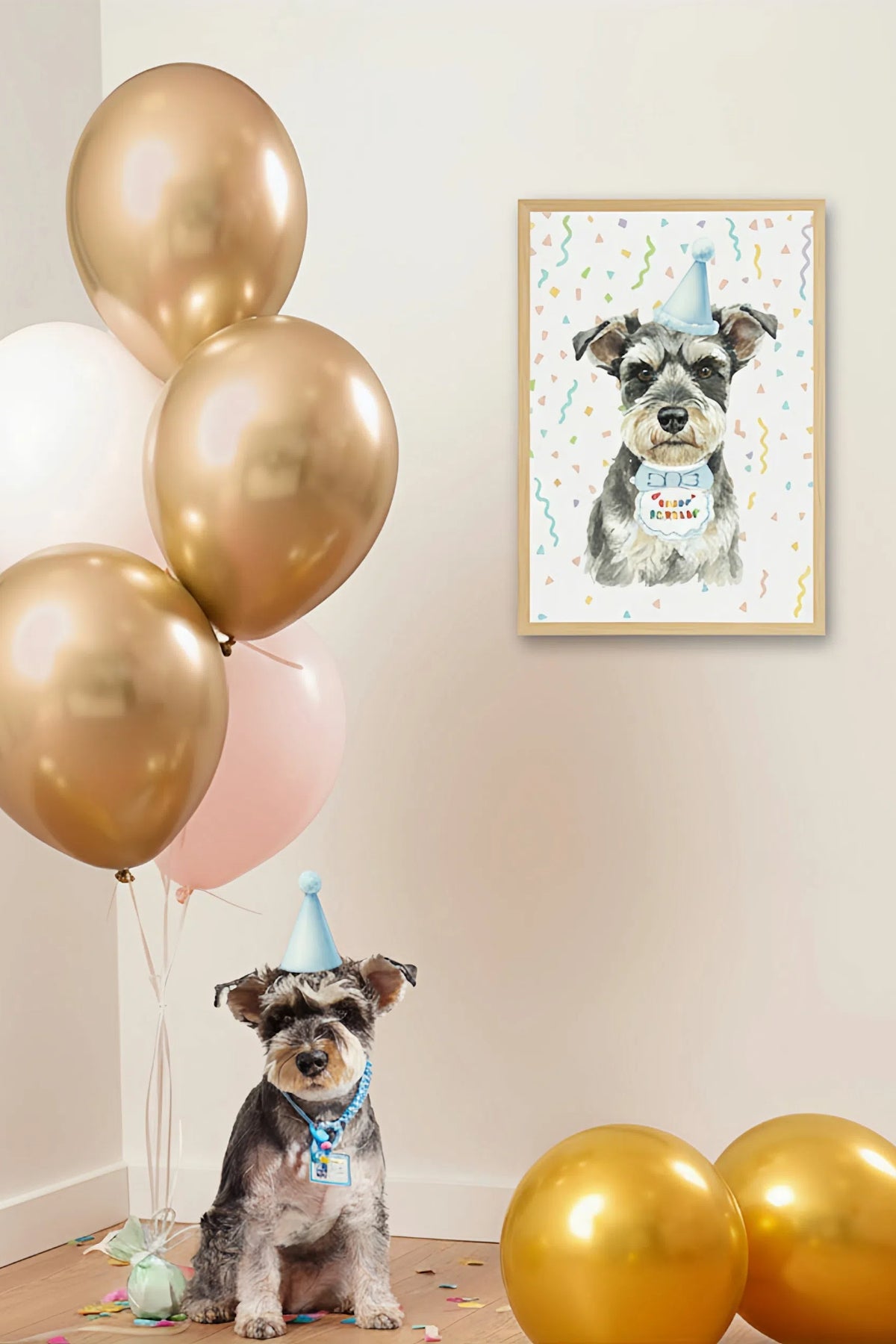 Dog wearing a party hat with balloons and a framed picture of a dog in a party hat on a wall.