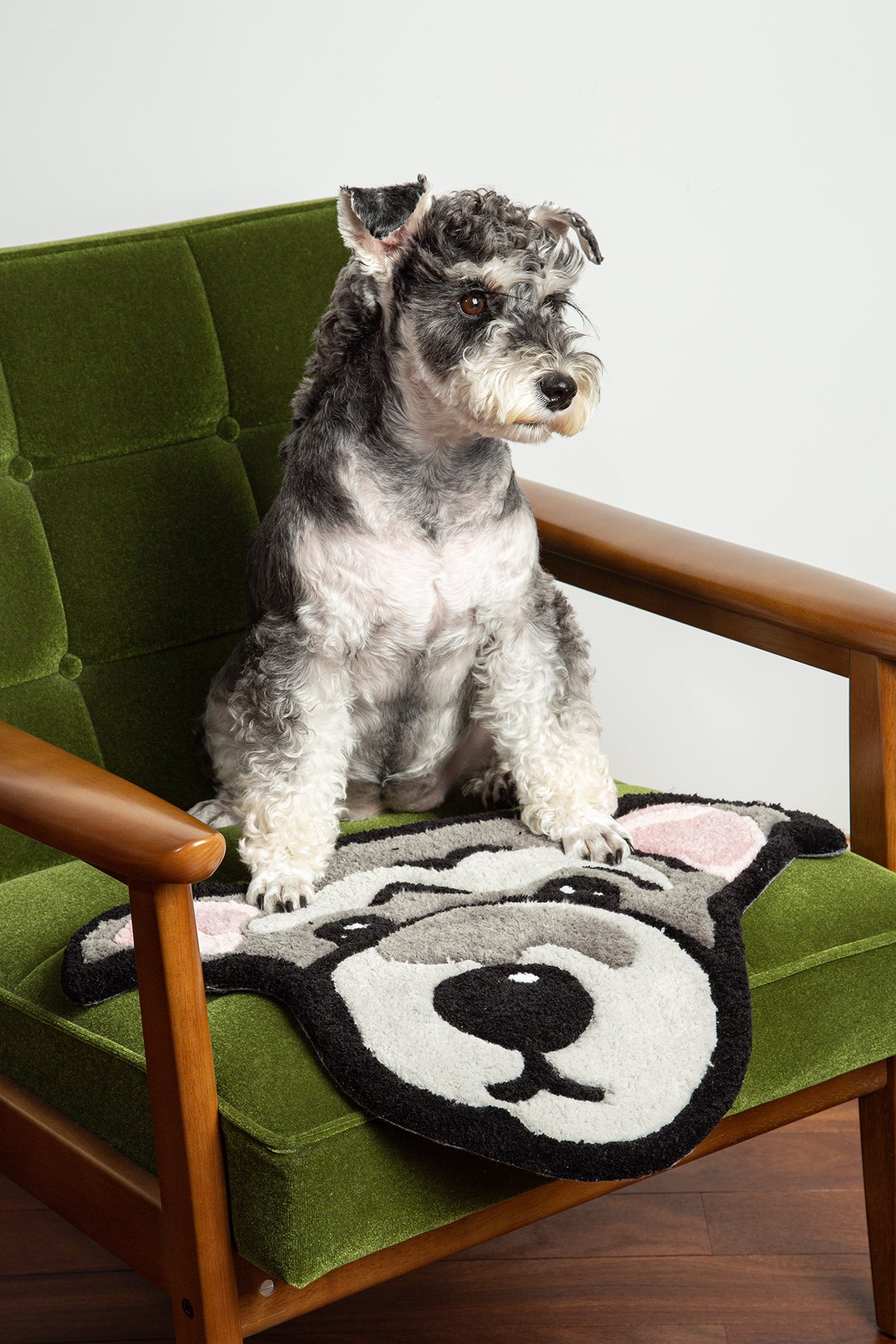 Dog sitting on a green chair with a paw-patterned cushion