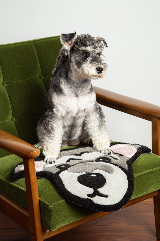 Dog sitting on a green chair with a paw-patterned cushion