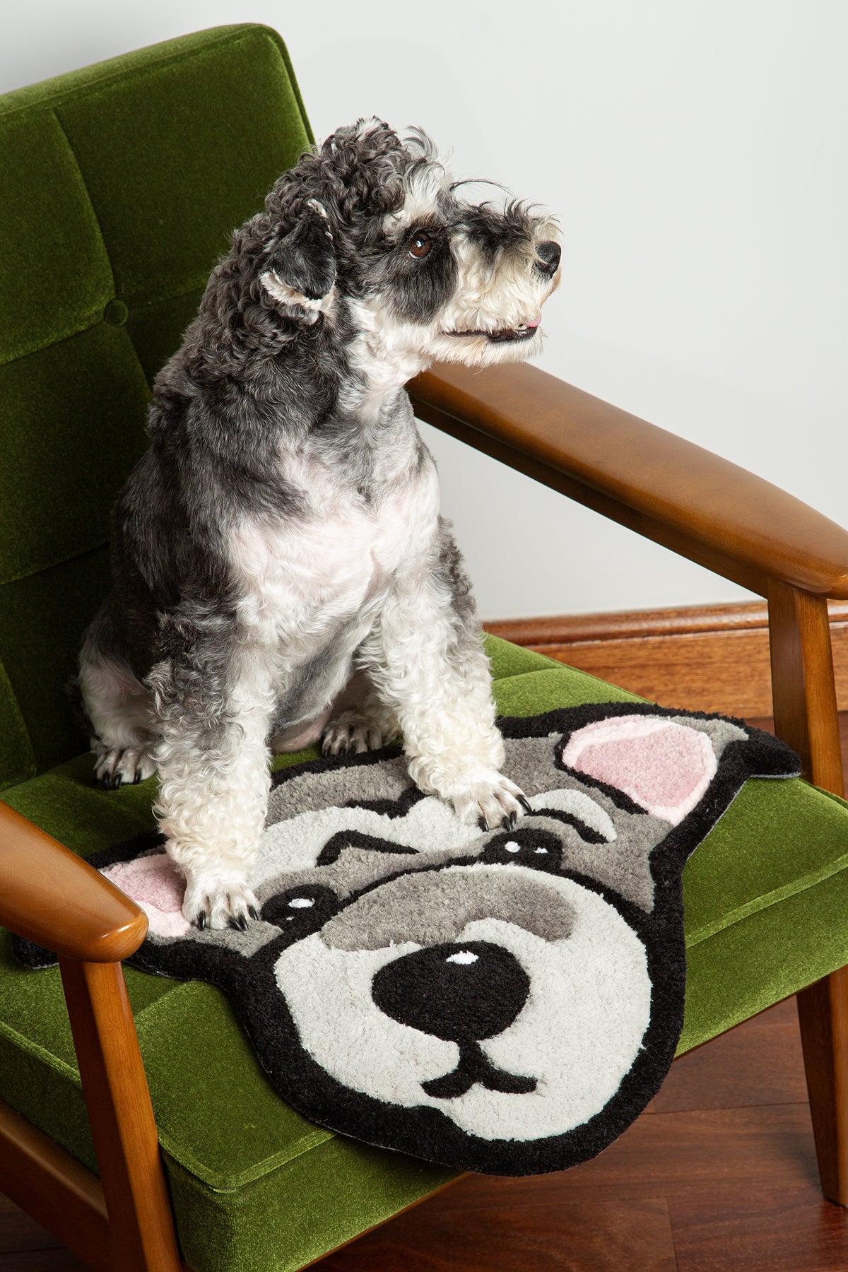 Dog sitting on a green chair with a dog-shaped cushion