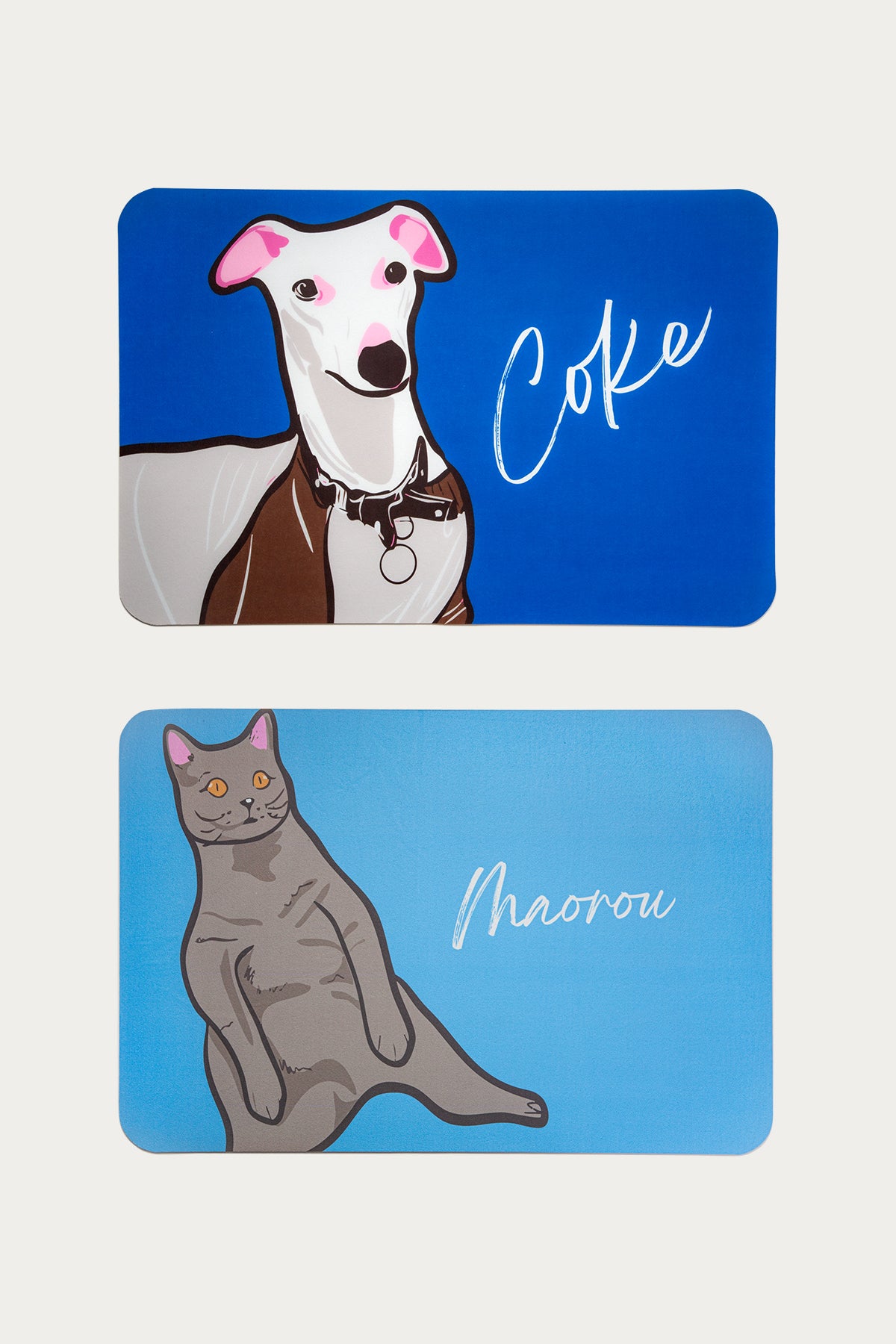 Custom Pet Diatomite Bath Mat – Personalized Quick-Dry Rug with Pet Portrait & Name