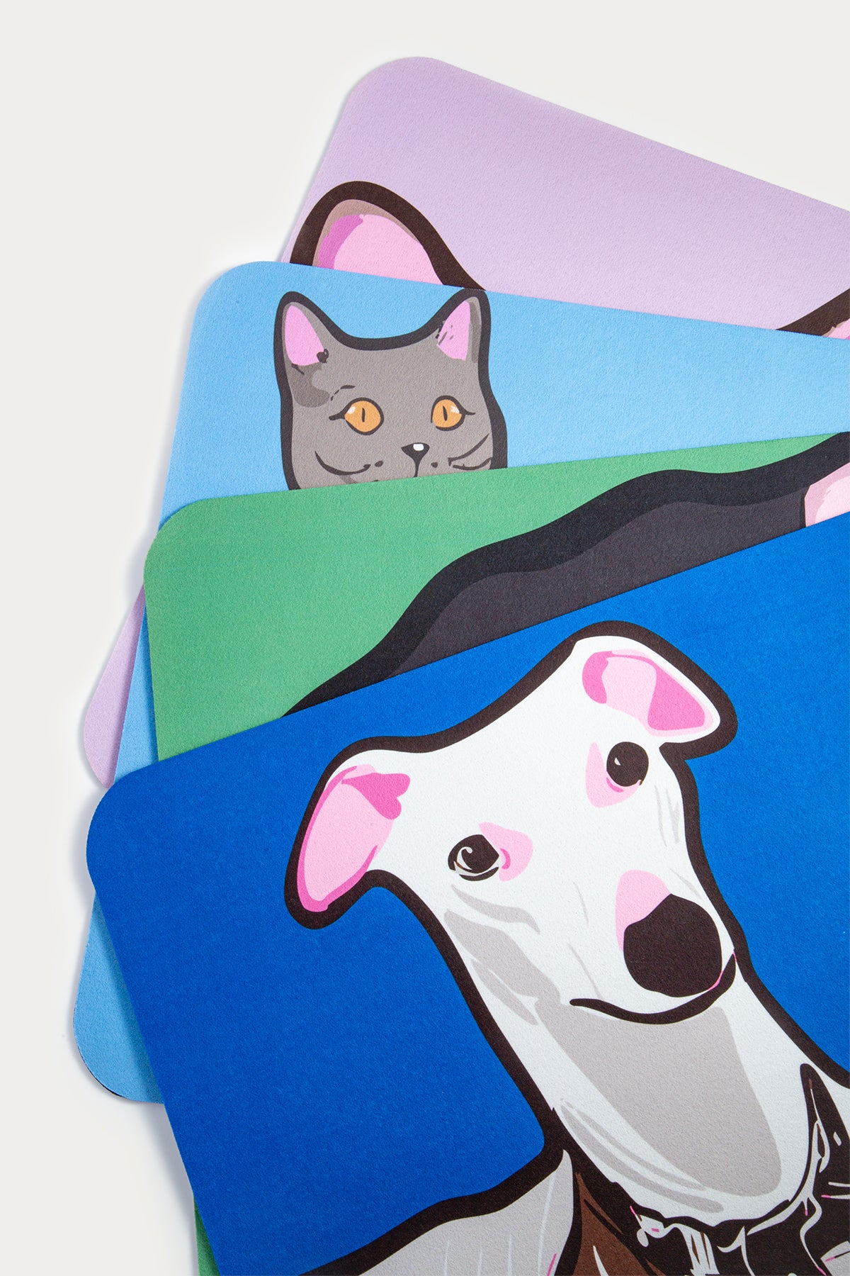 Custom Pet Diatomite Bath Mat – Personalized Quick-Dry Rug with Pet Portrait & Name