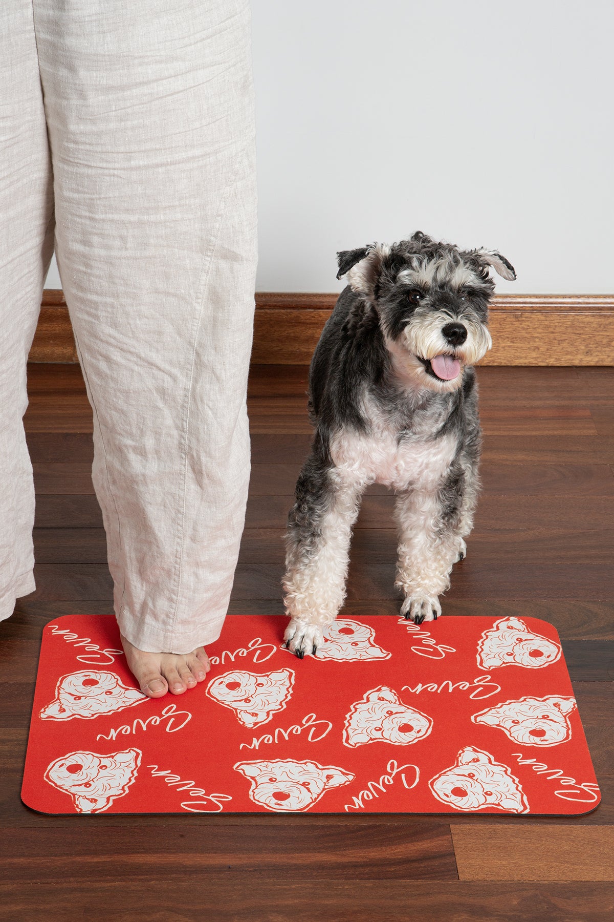 Dog standing on a red mat with dog graphics, next to a person wearing white pants.