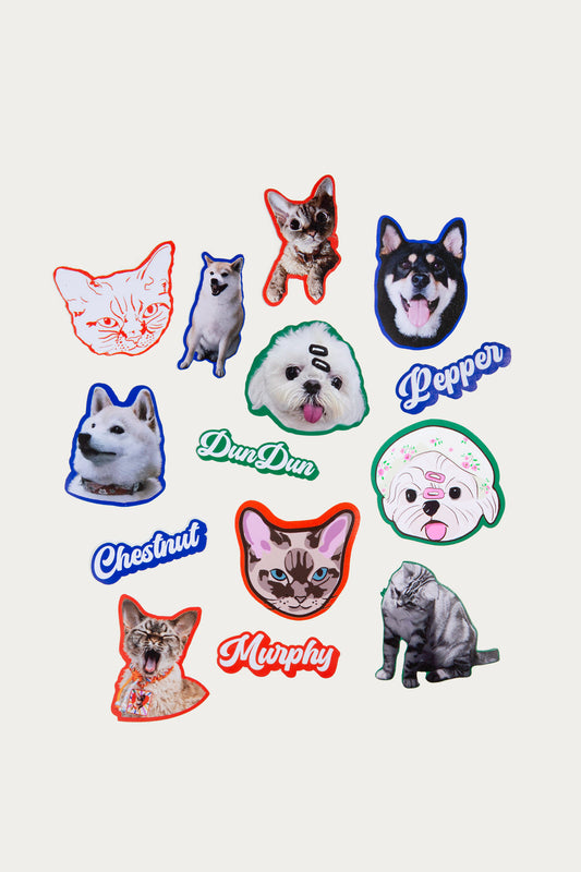 Custom Pet Portrait Stickers with Colorful Borders | Personalized Pet Portrait