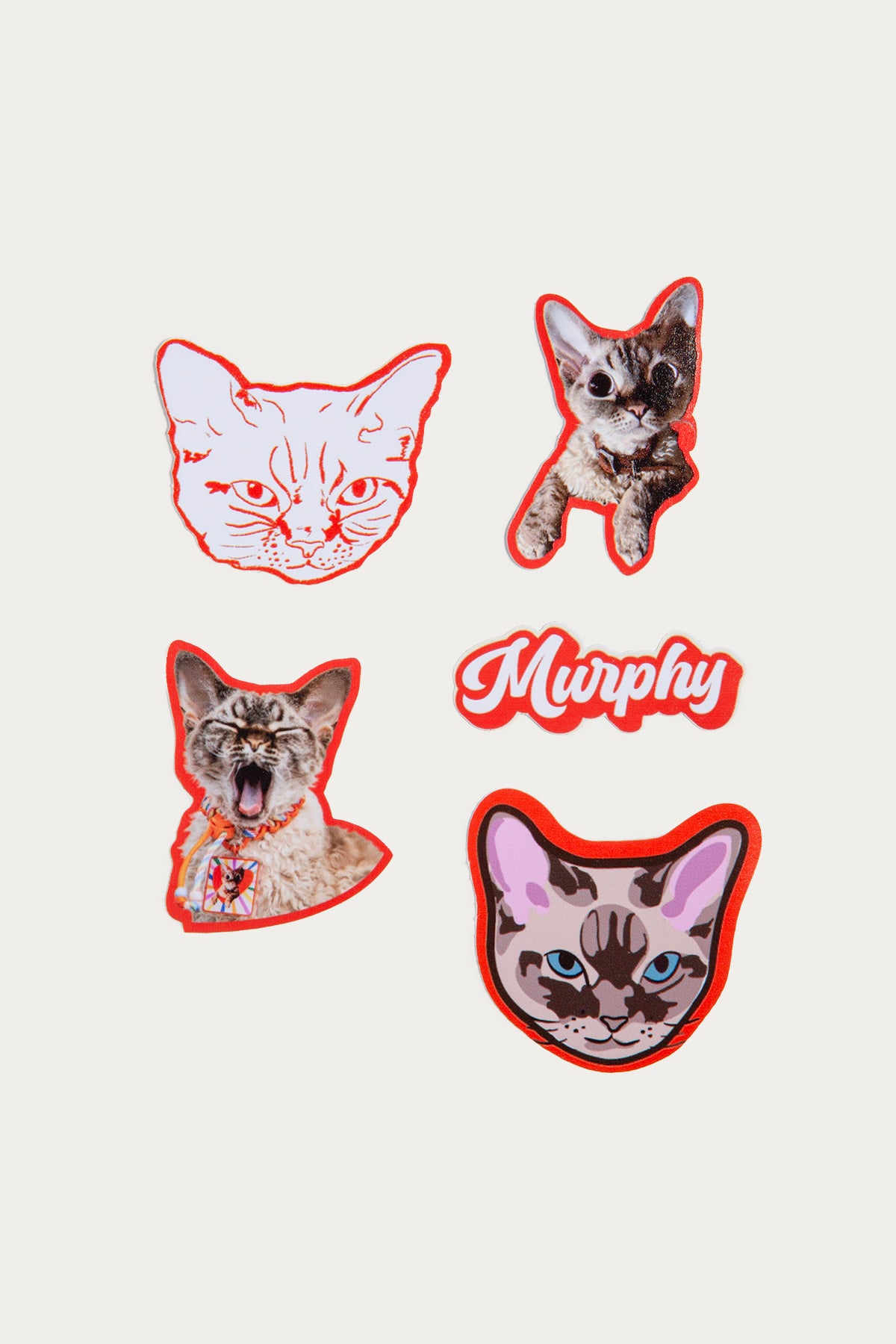 Custom Pet Portrait Stickers with Colorful Borders | Personalized Pet Portrait