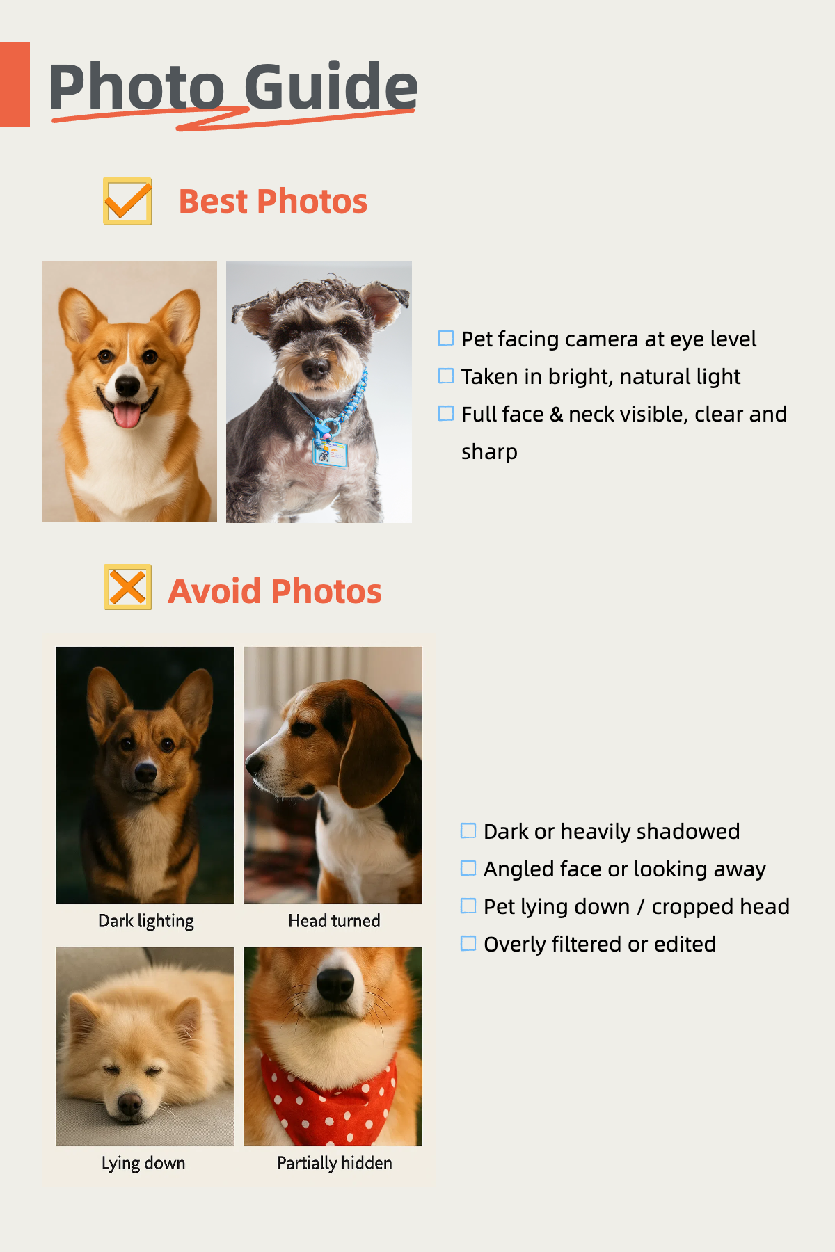 photo guide